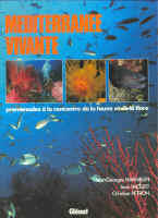MEDITERRANEE VIVANTE, PROMENADES A LA RENCONTRE DE LA FAUNE ET DE LA FLORE Harmelin J.-G. Vacelet J., Petron C. 1987