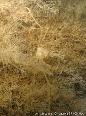 rencontre marin doris