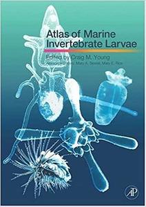 ATLAS OF MARINE INVERTEBRATE LARVAE Young C.M., Sewell M.A.  2006