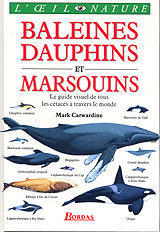 BALEINES DAUPHINS et MARSOUINS Carwardine M.  1995