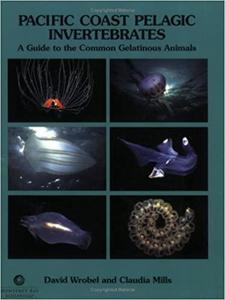 PACIFIC COAST PELAGIC INVERTEBRATES, A GUIDE TO THE COMMON GELATINOUS ANIMALS Wrobel D. Mills C. 1998