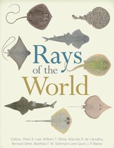 RAYS OF THE WORLD Last P. White W., de Carvalho M. de, Séret B., Stehmann M., Naylor G. 2016