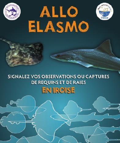 RéseauDORIS - Avis de recherche : les élasmobranches