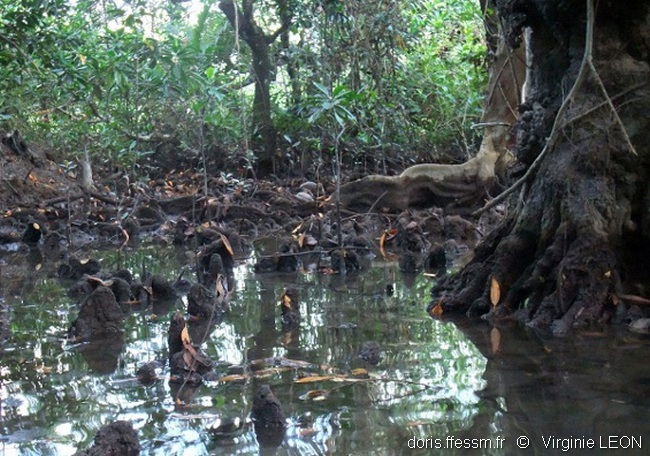 rencontre racine 2010
